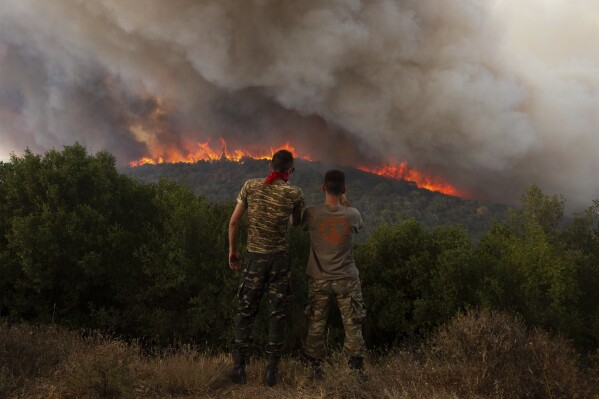 Wildfires raging in Europe: What, where and why?, Explainer News