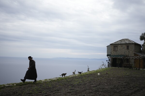Father Paisios is followed by cats walks at the Simonopetra, or Simonos Petra Monastery, home of the all-male autonomous community of Agion Oros, or Holy Mountain, on the peninsula of Mount Athos in northern Greece, Monday, April 14, 2025. (AP Photo/Thanassis Stavrakis)