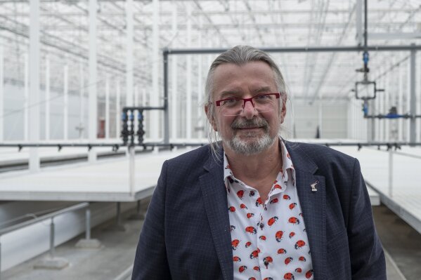 Rob Baan of Koppert Cress plant nursery poses for a portrait in a green house in Monster, Netherlands, Thursday Feb. 25, 2021. A Dutch startup is using drones to kill moths in midair as a way of protecting valuable crops in greenhouses that are damaged by caterpillars. PATS Indoor Drone Solutions emerged from the work of a group of students looking for ways to kill mosquitos in their dorm rooms. The drones themselves are very basic, but they are steered by smart technology and special cameras that scan the airspace in greenhouses. When the cameras detect a moth, a drone is set on a collision course with the bug, destroying the bug with its rotors. (AP Photo/Mike Corder)
