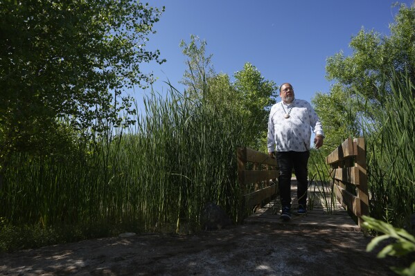  Gov. Stephen Roe Lewis walks the Gila River Interpretive Trail in the Gila River Indian Community, Thursday, May 2, 2024, in Sacaton, Ariz. Lewis has leveraged the Gila River tribe's water abundance to help Arizona and others at a critical time, making his tribe a power player in the parched region. (AP Photo/Ross D. Franklin)