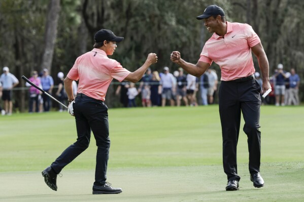 Australian Open: LIV's Joaquin Niemann beats Rikuya Hoshino in play-off to  claim first DP World Tour title, Golf News