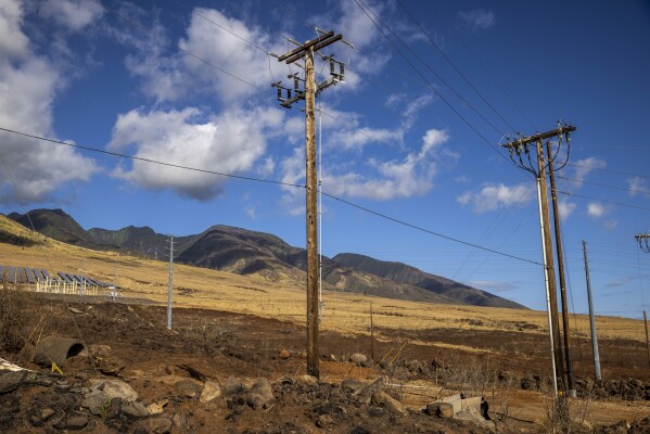 Utility poles stand in Lahaina on the island of Maui, Hawaii, Aug. 16, 2023. When the winds of Hurricane Dora lashed Maui Aug. 8, they struck bare electrical lines the Hawaiian electric utility had left exposed to the elements. (Stephen Lam/San Francisco Chronicle via AP)