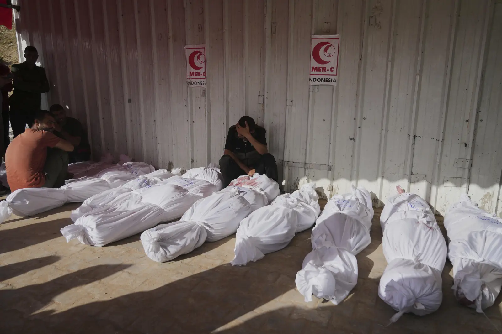 Gaza's dead