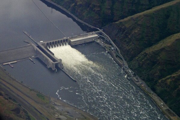 FILE - In this May 15, 2019, file photo, the Lower Granite Dam on the Snake River is seen from the air near Colfax, Wash. A coalition of 17 environmental groups are speaking out against a key part ...