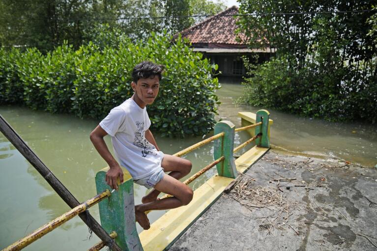 Un niño se sienta en una repisa cerca de una casa inundada en Modoliko, Java Central, Indonesia, el lunes 1 de agosto de 2022. Los científicos dicen que partes de la isla se perderán por completo en el mar en los próximos años. (Foto AP/Dita Alangkara)