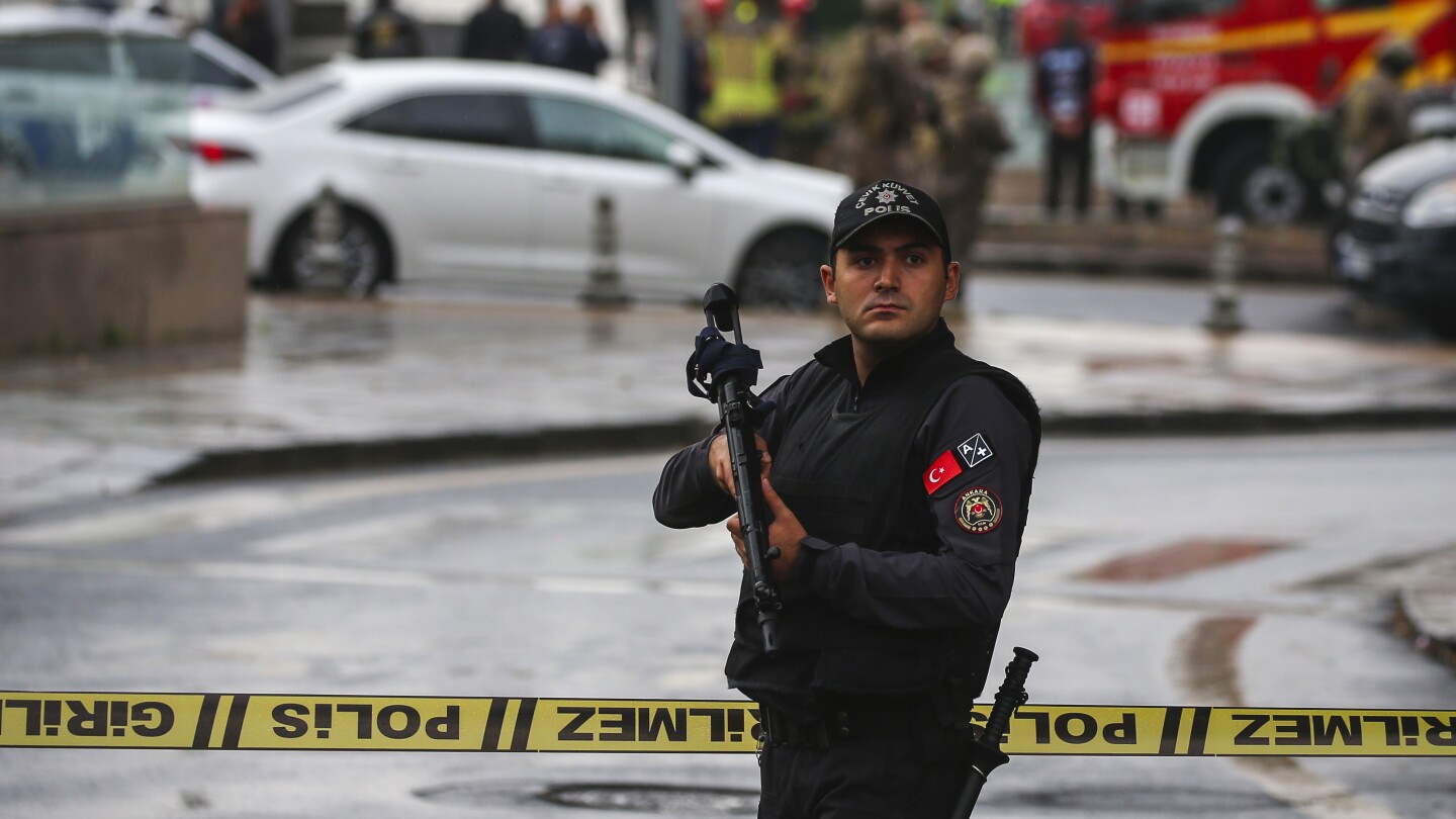 Turkey detains dozens of people in raids following suicide bomb attack