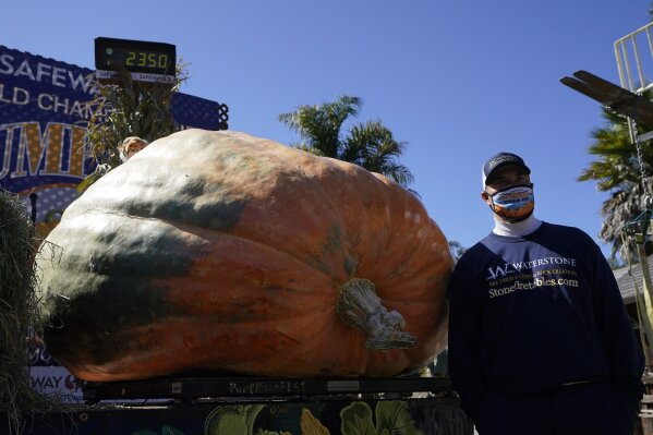 SF Giants Pumpkin Carving Contest