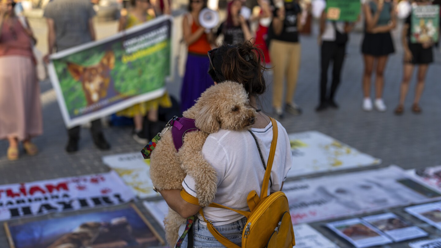 Turkish official vows to enforce controversial law to cull stray dogs after death of a 2-year-old