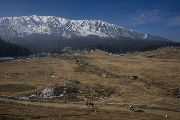 Tourists take a horse ride on grassy, snowless ski slopes in Gulmarg, northwest of Srinagar, Indian controlled Kashmir, Saturday, Jan. 13, 2024. There is hardly any snow at Asia's largest ski terrain in Gulmarg where thousands of domestic and international tourists would usually visit to ski and sledge its stunning snowscape in winter. (AP Photo/Dar Yasin)