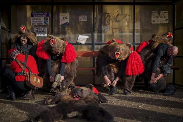 Members of the Sipoteni bear pack put on their outfits in Racova, northern Romania, Tuesday, Dec. 26, 2023, while touring villages to perform the bear dance ritual. Centuries ago, people in what is now northeastern Romania would don bear fur and dance to fend off evil spirits. Nowadays, the unique custom thrives, with popular festivals drawing large crowds of locals and tourists. (AP Photo/Vadim Ghirda)