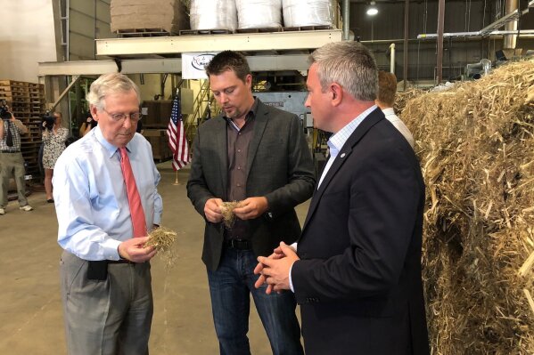 
              FILE - In a Thursday, July 5, 2018 file photo, Senate Majority Leader Mitch McConnell, left, inspects a piece of hemp taken from a bale of hemp at a processing plant in Louisville, Ky. McConnell has guaranteed that his proposal to make hemp a legal agricultural commodity, removing it from the federal list of controlled substances, will be part of the final farm bill. (AP Photo/Bruce Schreiner, File)
            