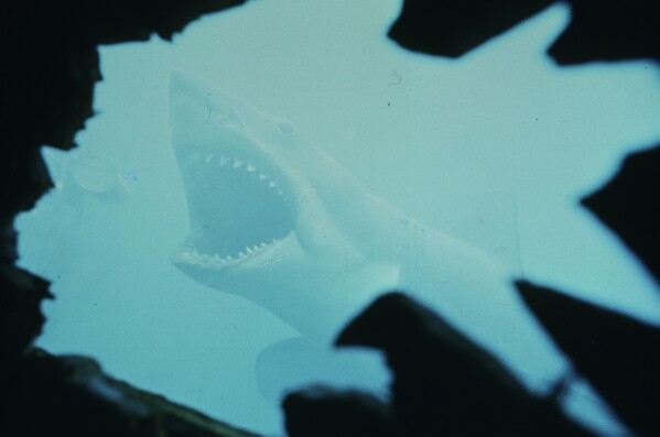 This image released by Peacock shows a scene from "Jaws." (Peacock/Universal Pictures via AP)