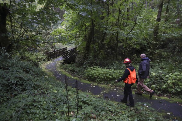 James Bailey, property manager, right, and Christine Buhl, a forest health specialist for the Oregon Department of Forestry, walk along a trail in the forest at Magness Memorial Tree Farm in Sherwood, Ore., Wednesday, Oct. 11, 2023. In recent years, at least 15 native tree species in the region have experienced growth declines and die-offs, with 10 linked to drought and warming temperatures, according to recent studies and reports. (AP Photo/Amanda Loman)