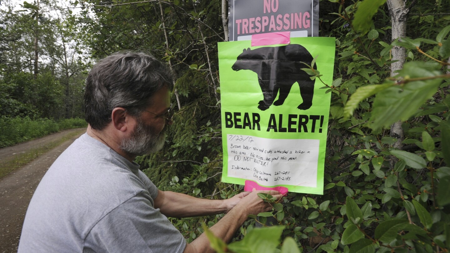 Жителите на Флорида могат да „отстояват позицията си“ и да убиват заплашителни мечки според сметката, отиваща на DeSantis