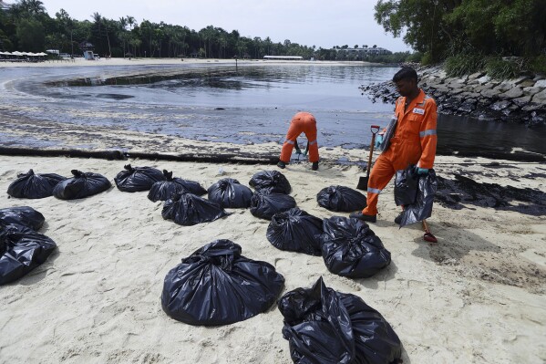Workers clean oil spill along Sentosa's Tanjong Beach area in Singapore, Sunday, June 16, 2024. An oil spill caused by a dredger boat hitting a stationary cargo tanker has blackened part of Singapore’s southern coastline, including the popular resort island of Sentosa, and sparked concerns it may threaten marine wildlife. (AP Photo/Suhaimi Abdullah)