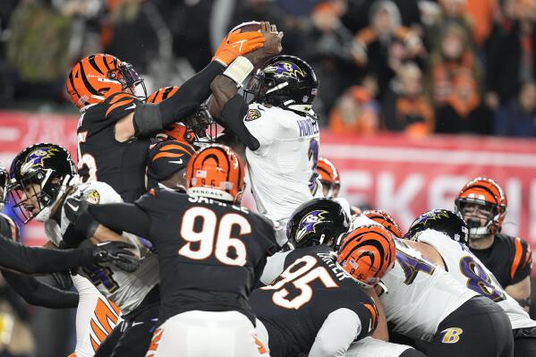 Baltimore Ravens quarterback Tyler Huntley (2) fumbles the ball as it is knocked away by Cincinnati Bengals linebacker Logan Wilson, left, in the second half of an NFL wild-card playoff football game in Cincinnati, Sunday, Jan. 15, 2023. The Bengals' Sam Hubbard recovered the fumble and ran it back for a touchdown. ( (AP Photo/Darron Cummings)