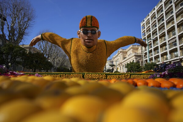 An olympic swimmer sculpture made with lemons is pictured during the 90th Olympia in Menton edition of the Lemon Festival in Menton, southern France, Saturday, Feb. 17, 2024. (AP Photo/Daniel Cole)